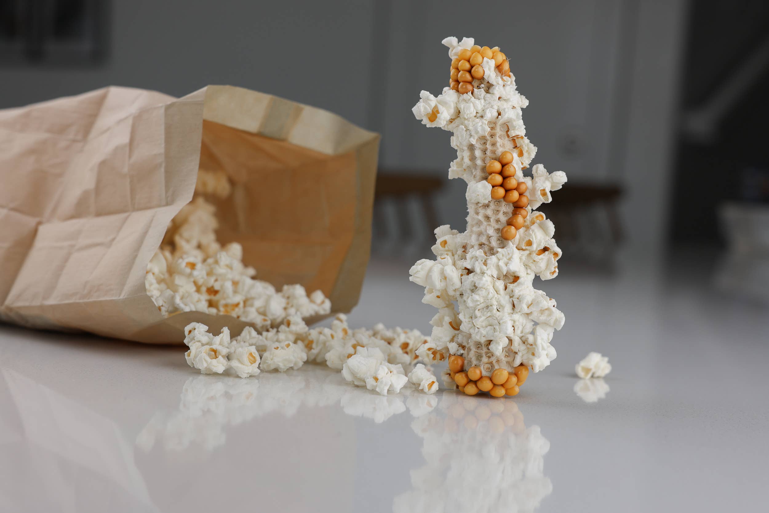 Amish Country Popcorn - Wholesale Popcorn - Twin Microwave Popcorn Cobs4