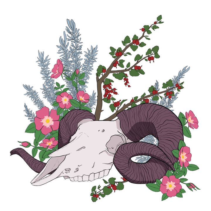 Bonetanical Aufkleber - Ram für den Großhandel von Bone and Dagger Assorted Mercantile