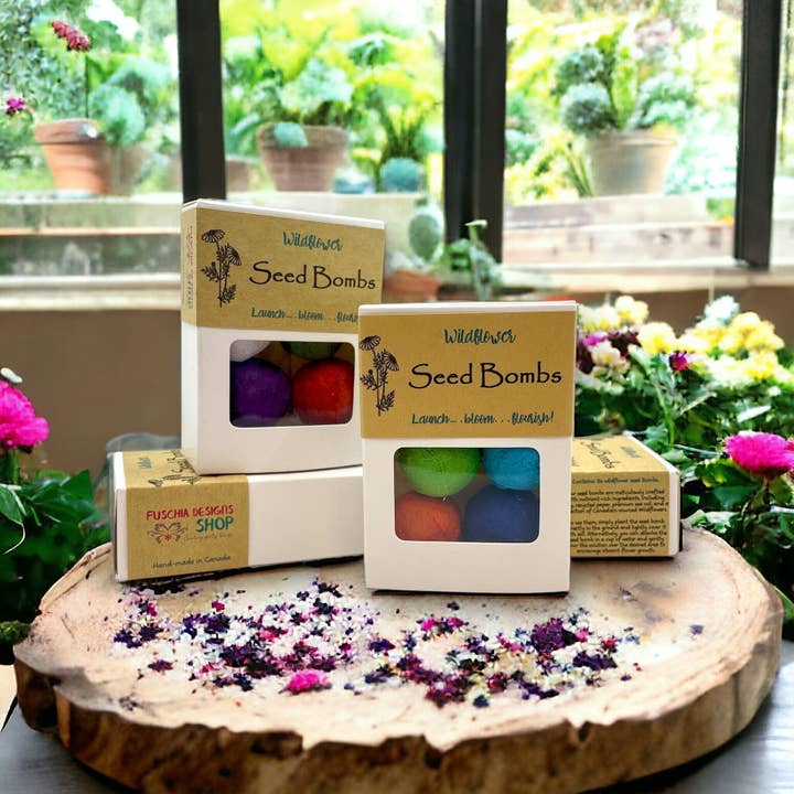 Fuschia Designs Shop - Wholesale Plant Seeds - Seed Bombs - 6 Pack - Canadian Wildflower2