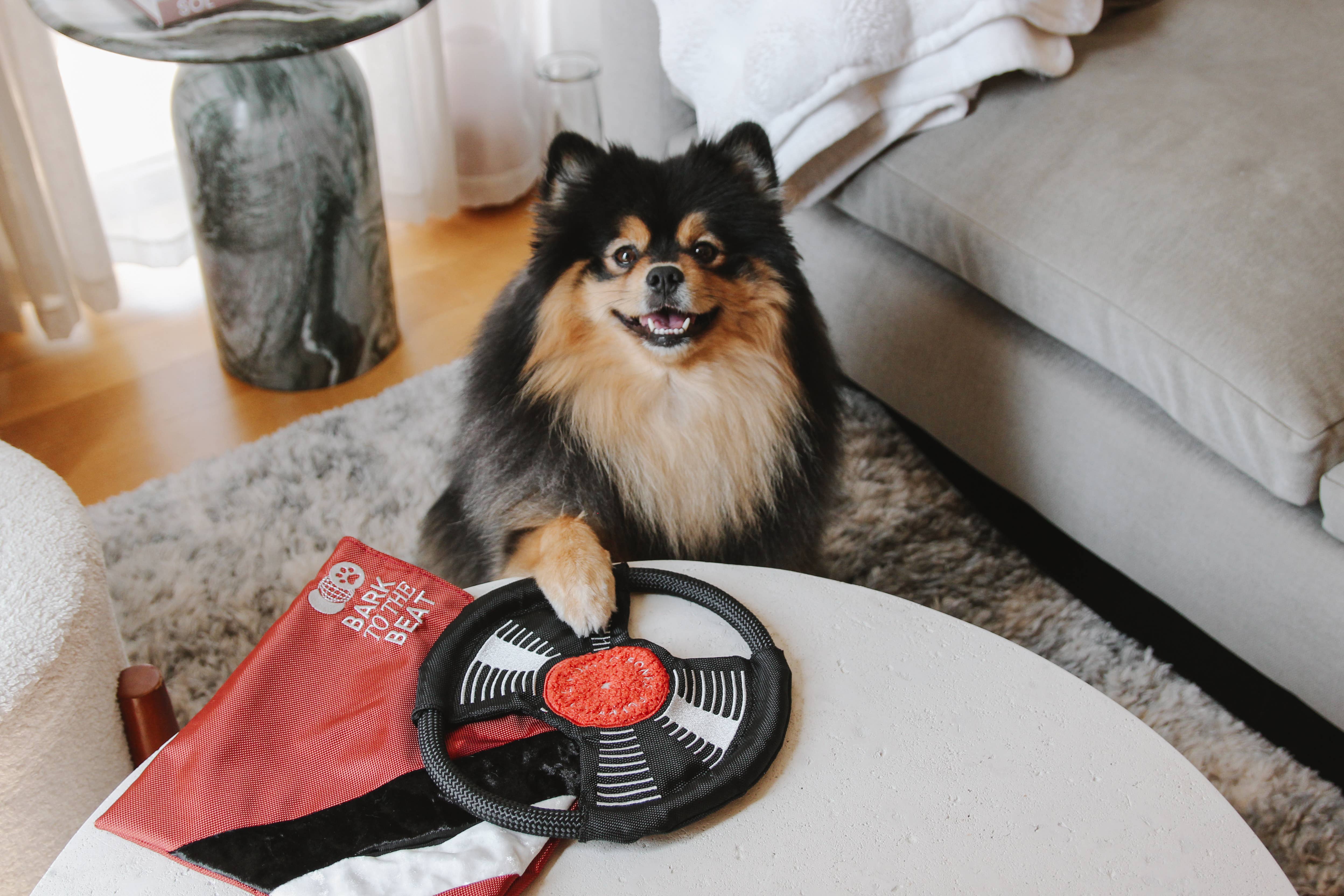 Lambwolf Collective - Wholesale Pet Toy - Dog - BARK TO BEAT //ENRICHMENT DOG TOY 4