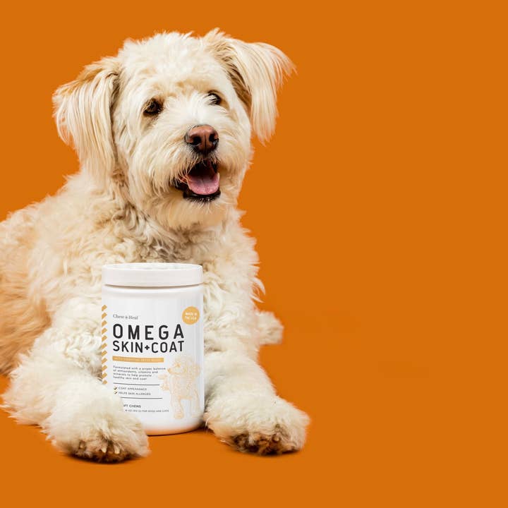 Chew + Heal - Wholesale Pet Supplement - Dog - Omega Skin & Coat Supplement4