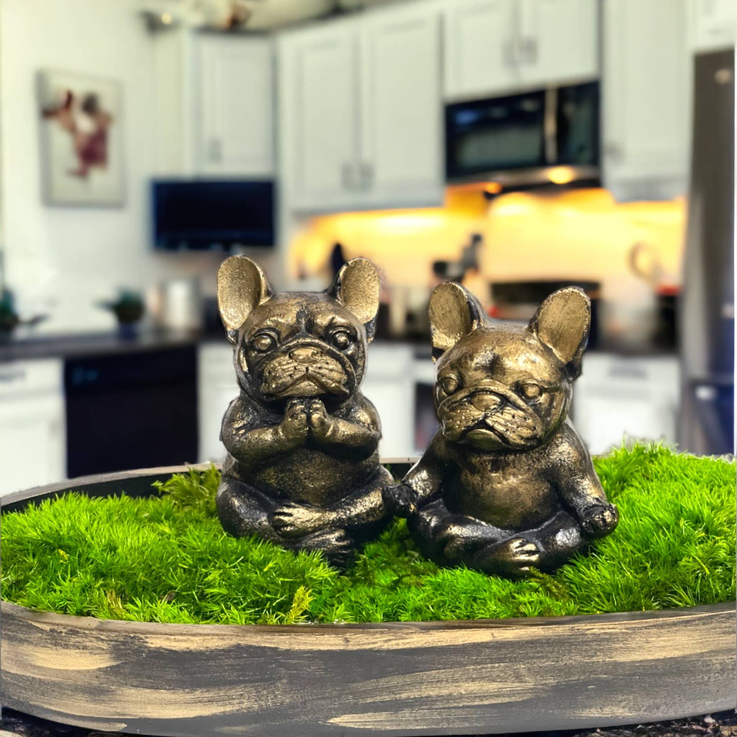 Planters Made in the USA - Wholesale Decorative Tabletop Object - Moss Table Centerpiece Decor Preserved Plant, Forever Green33