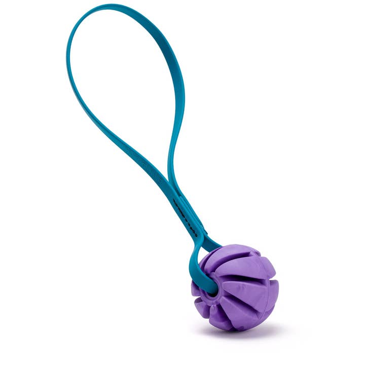 Dogline - Wholesale Pet Fetch Ball - Dog - Rubber Spiral Ball with Biothane Handle8