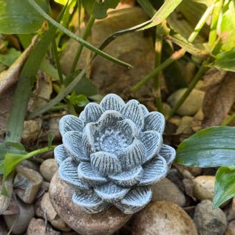 Backyard Stone Art - Vendita all'ingrosso Ornamenti/decorazioni per esterni - Fiore in cemento, ninfea di loto, 7,6 x 3,8 cm2