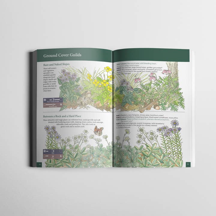 Wild Seed Project - Wholesale Book - Adult - Native Ground Covers for Northeast Landscapes