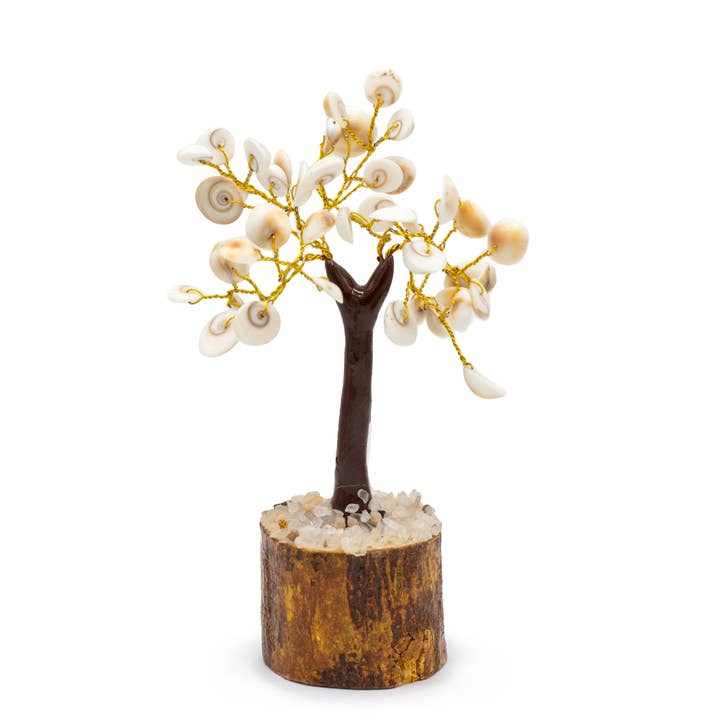 Gomati Chakra Circle Stone Trees - (45 stones) for wholesale by Ancient Wisdom