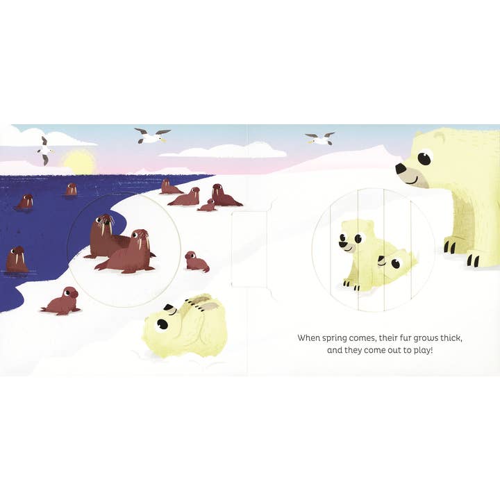 EDC Publishing - Wholesale Preschool Book (3-5) - Animal Magic: In the Snow6