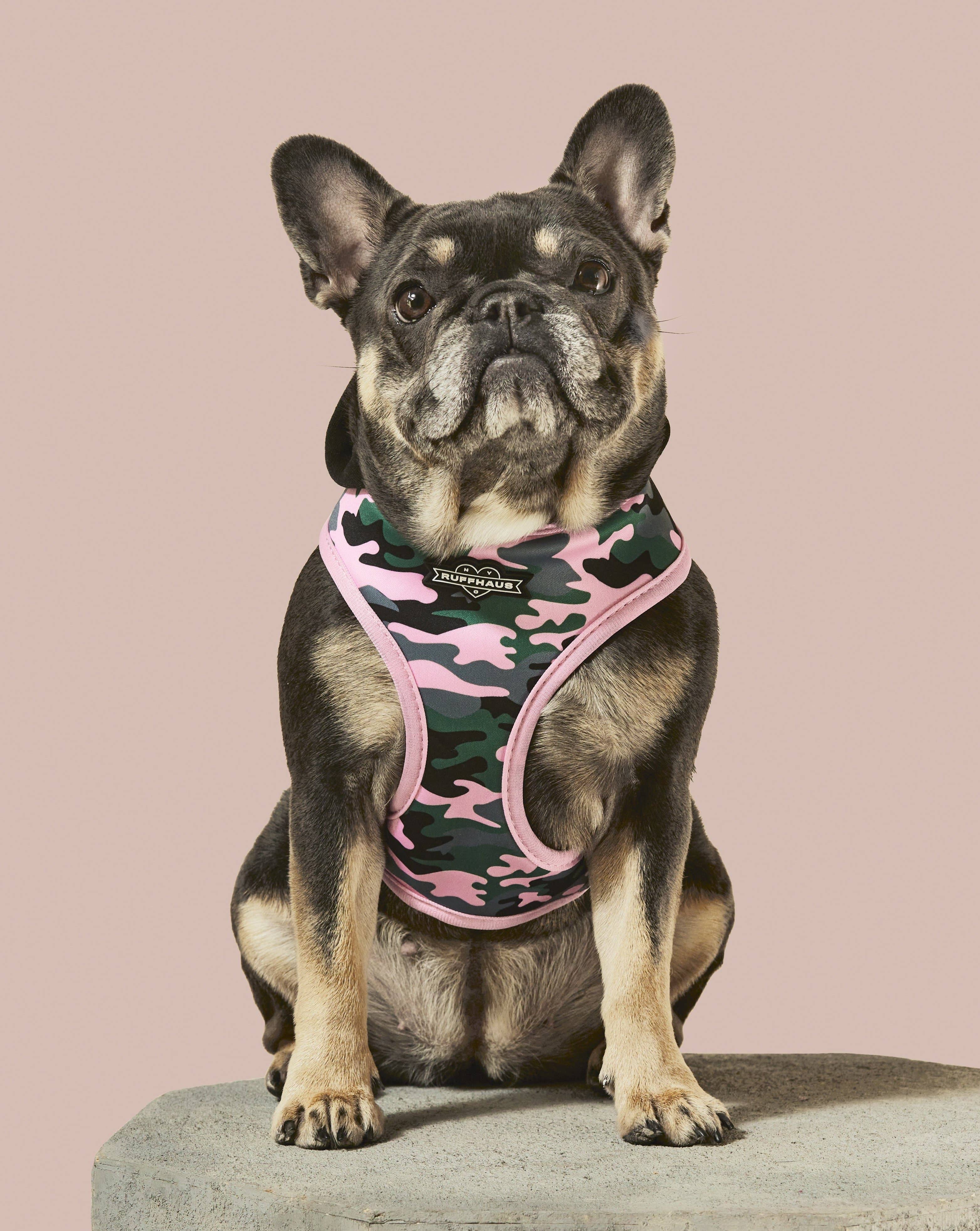 Ruffhaus NYC - Wholesale Pet Harness - Dog - Camo QT Pink Hoodie Harness1