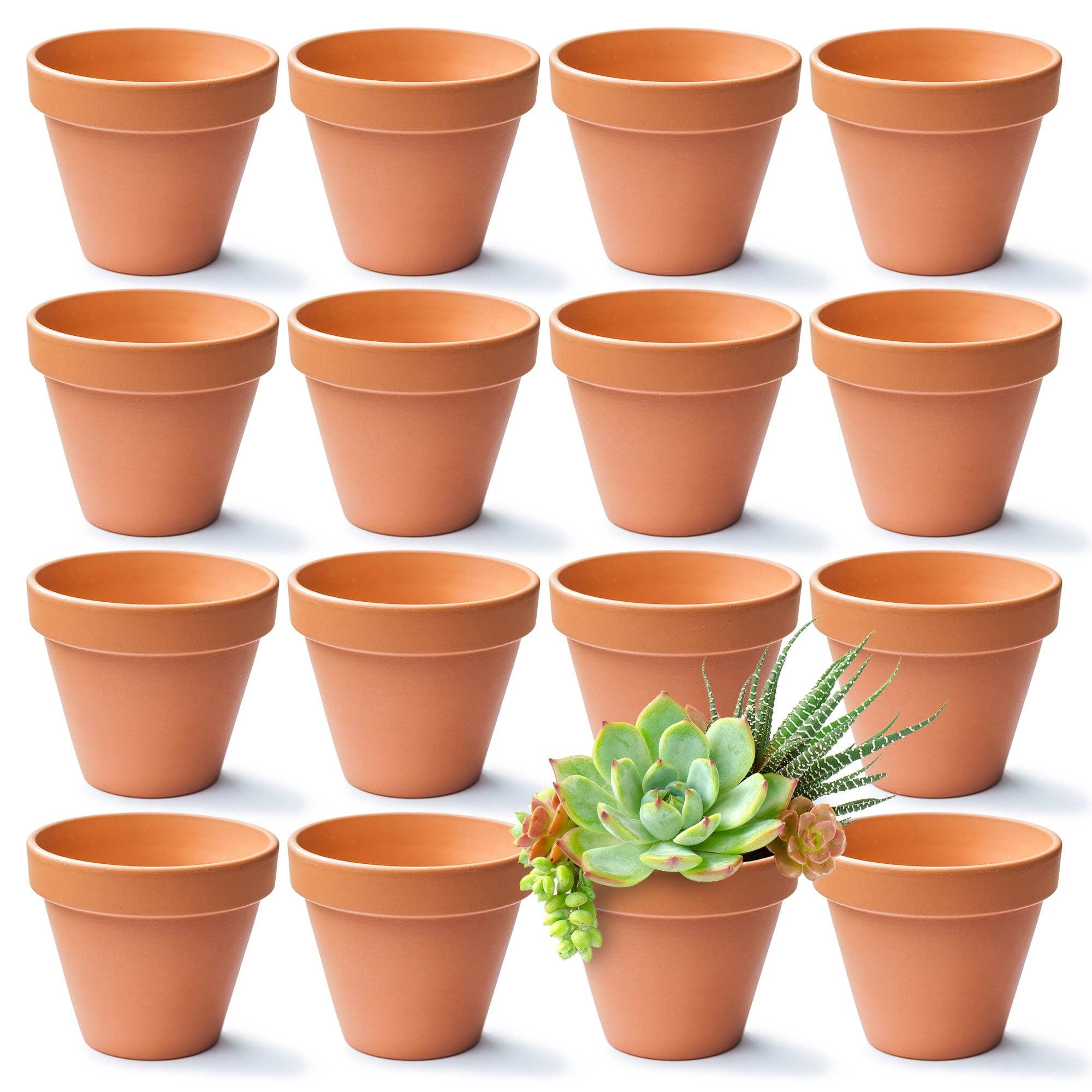Jara Trading – wholesale Plant pot – Small Clay Terracotta Plant Pots - 16 Pack0
