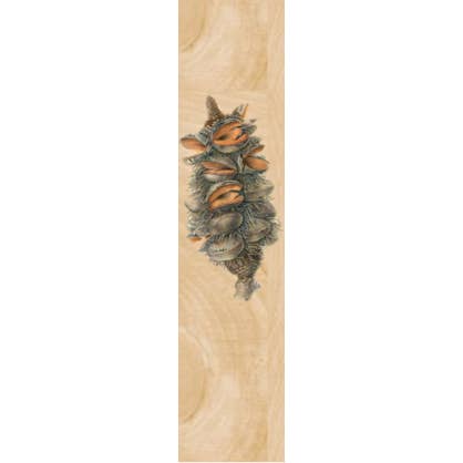 Banksia Serrata Bookmark for wholesale by ikonink