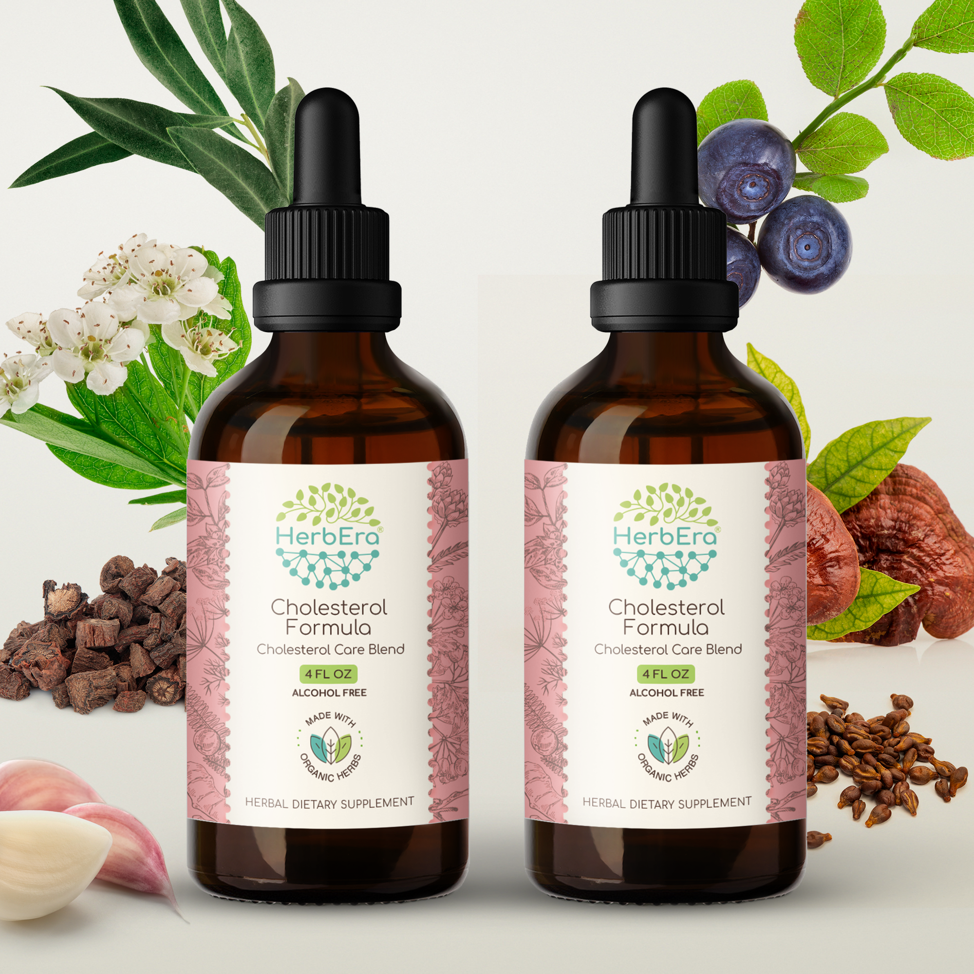 HerbEra - Wholesale Tincture - Cholesterol Formula Tincture10