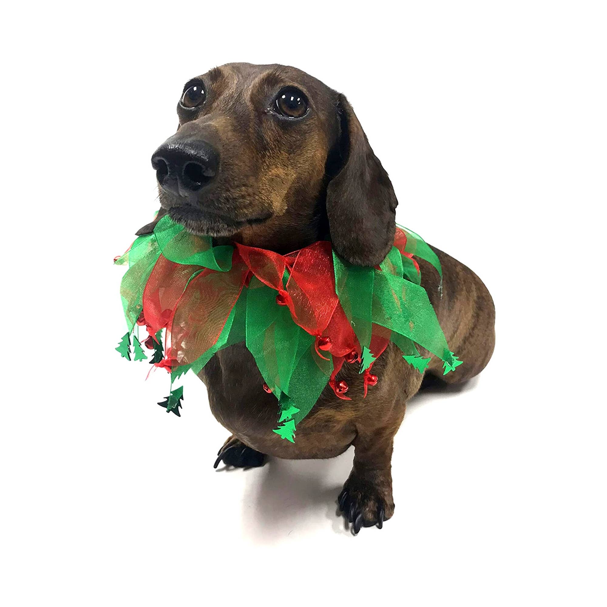 Midlee Designs - Wholesale Pet Collar - Dog - Midlee Jingle Bells & Christmas Trees Decorative Dog Collar3