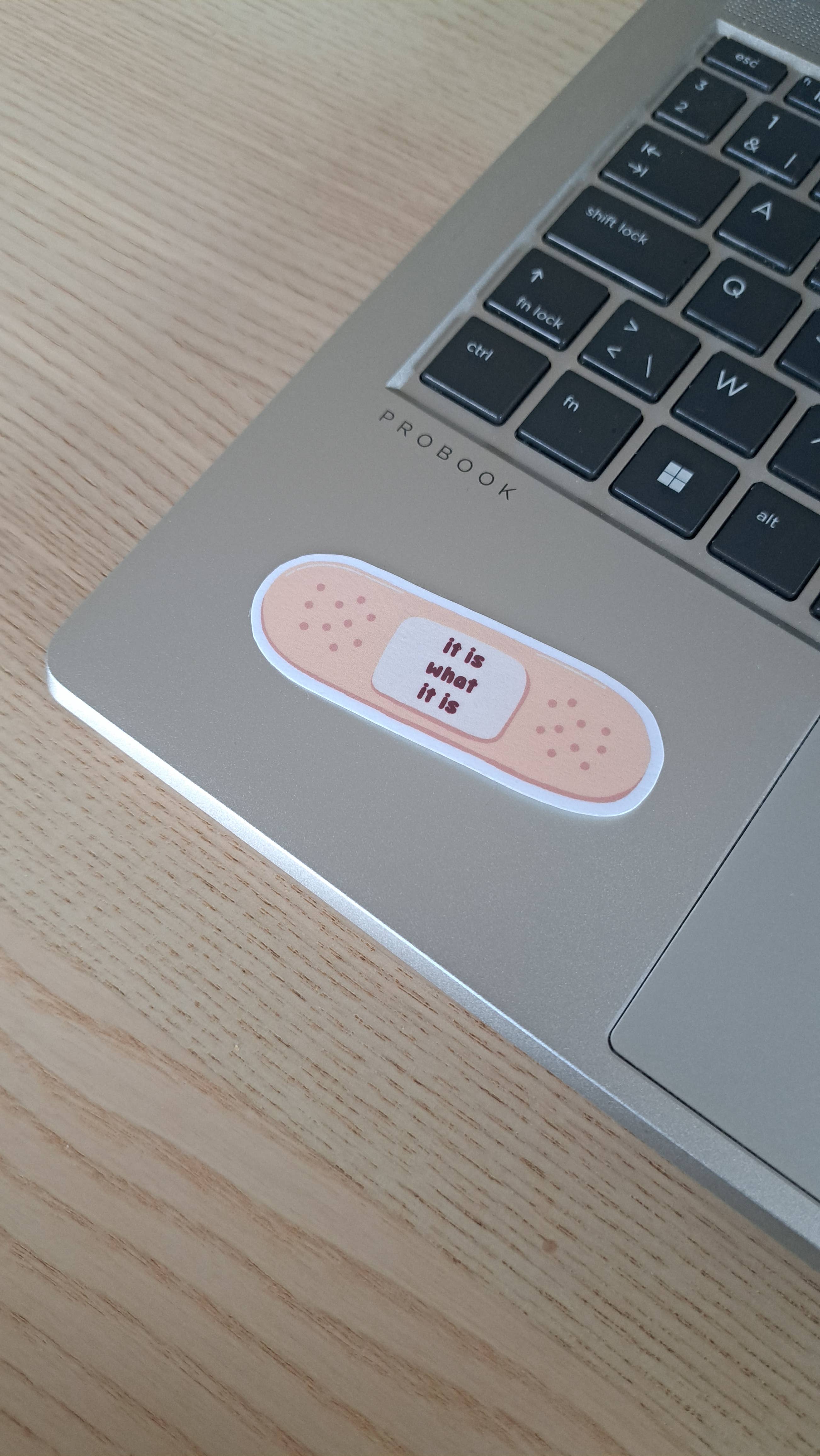 x The Fancy Firefly - Wholesale Sticker - It Is What It Is Band-Aid - Waterproof Die-cut Sticker4