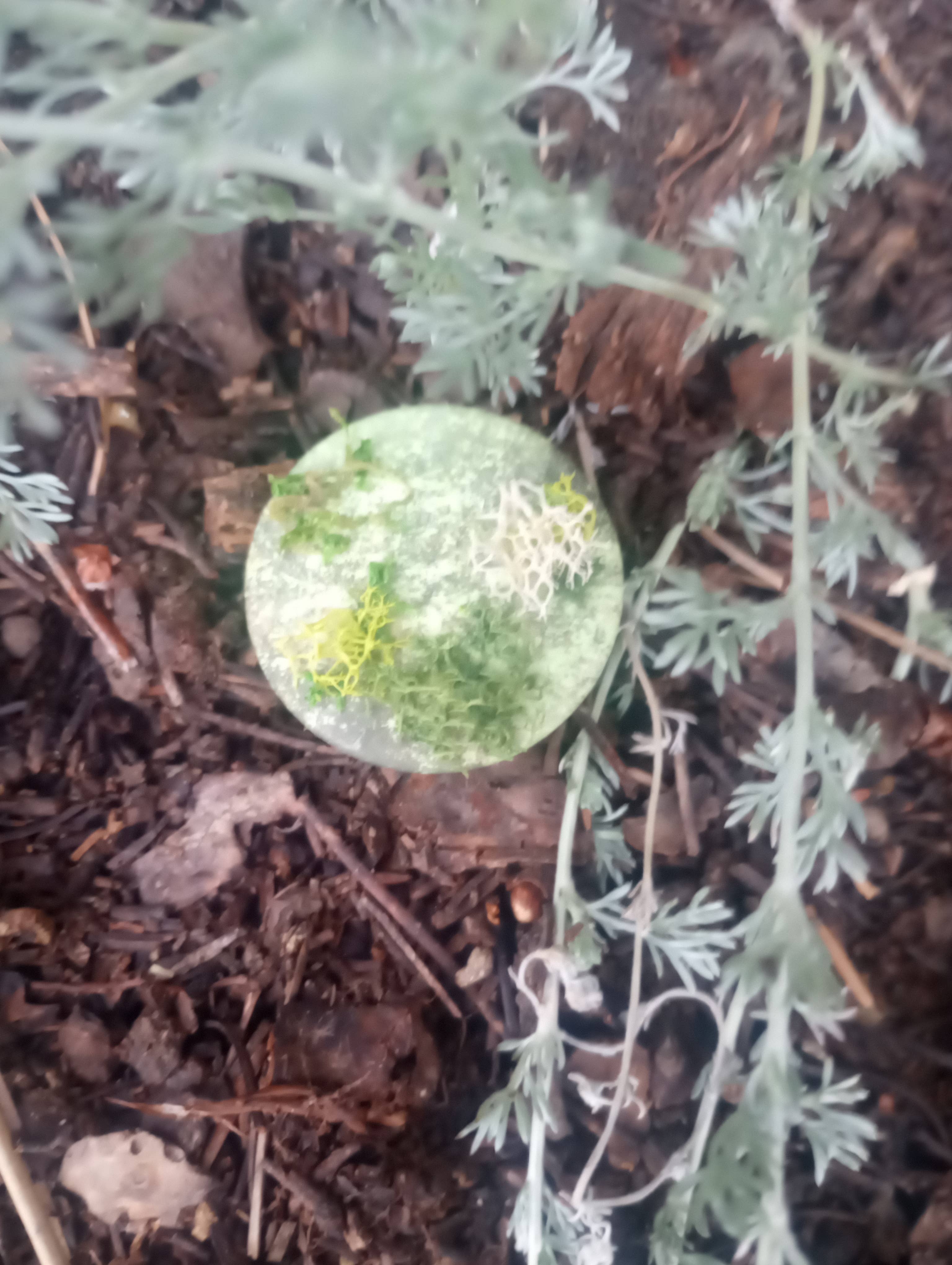 Green High County Moss Button by tomk™ for wholesale on Faire1