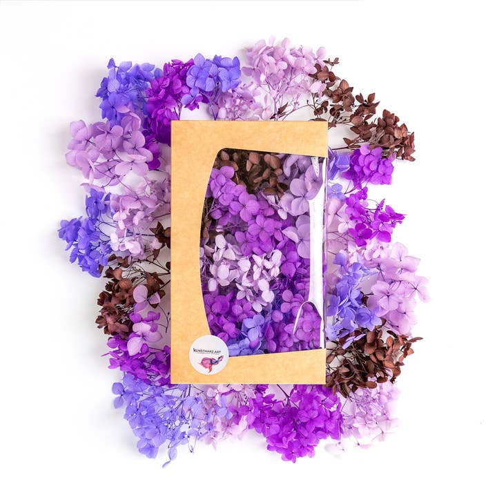 Kunstharz.Art - Wholesale Dried/Pressed Flowers - Hydrangeas dried flowers in gift box - many colors4