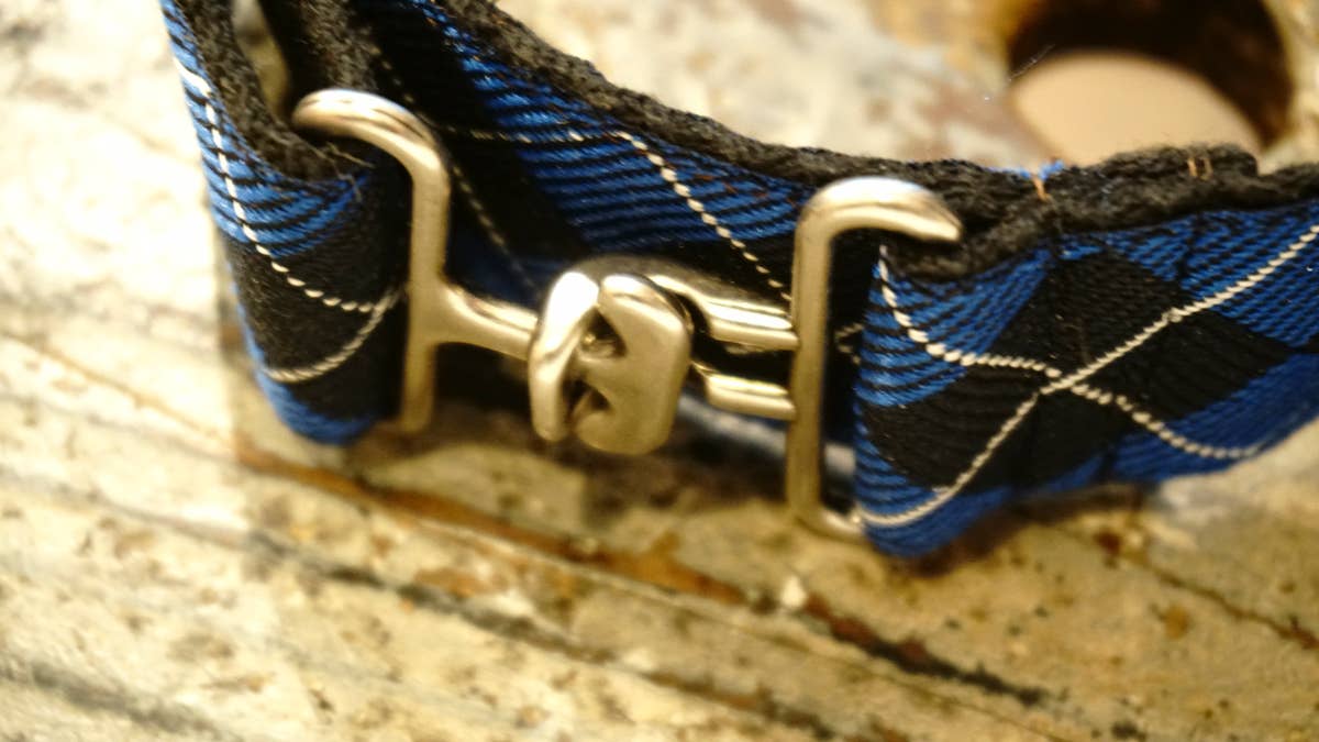 hundsfutter – wholesale Halsband - Hund – Brett hundhalsband i vattenavvisande nylon5