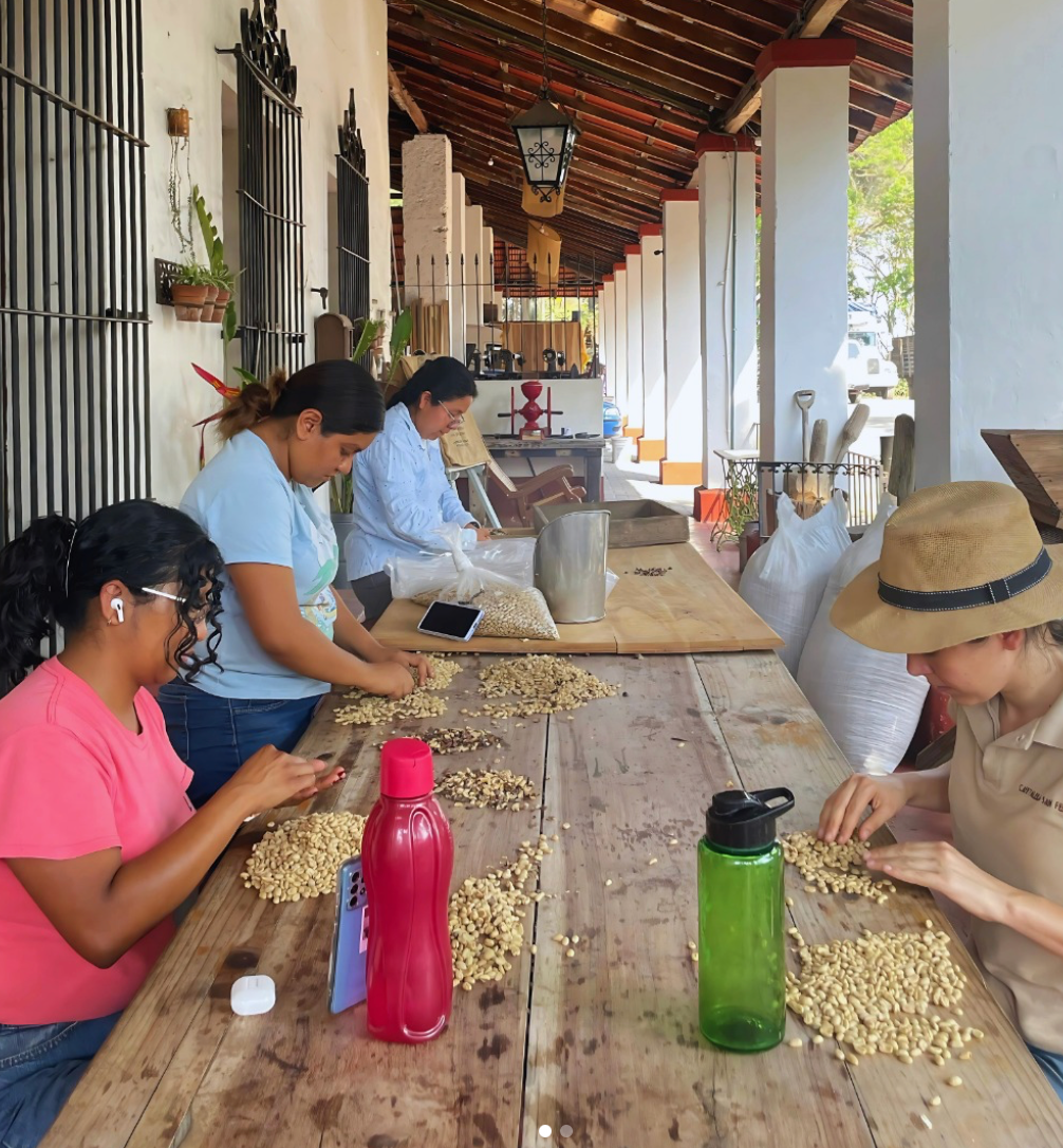 Praxis Coffee Roasters - Wholesale Coffee Beans - Rancho San Felipe, Mexico2