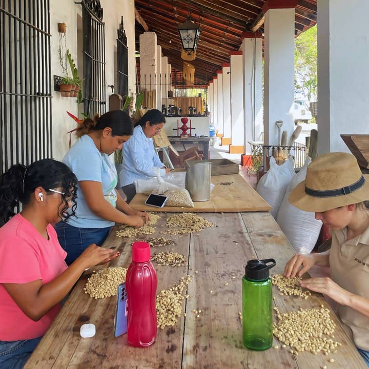 Praxis Coffee Roasters - Wholesale Coffee Beans - Rancho San Felipe, Mexico2