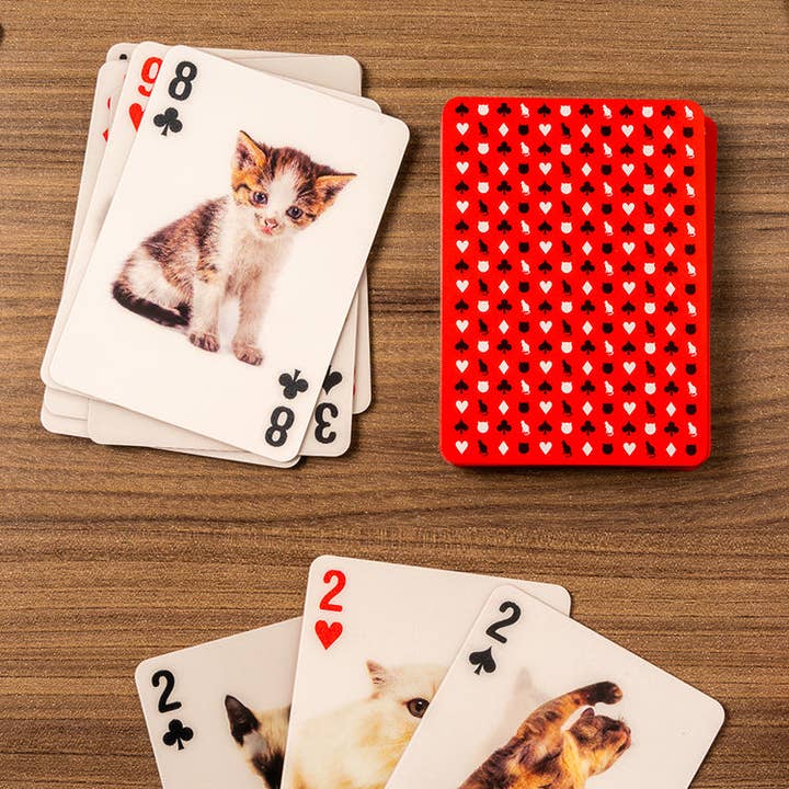 Kikkerland Design Inc - Wholesale Playing Cards - Playing Cards Cats 3D2