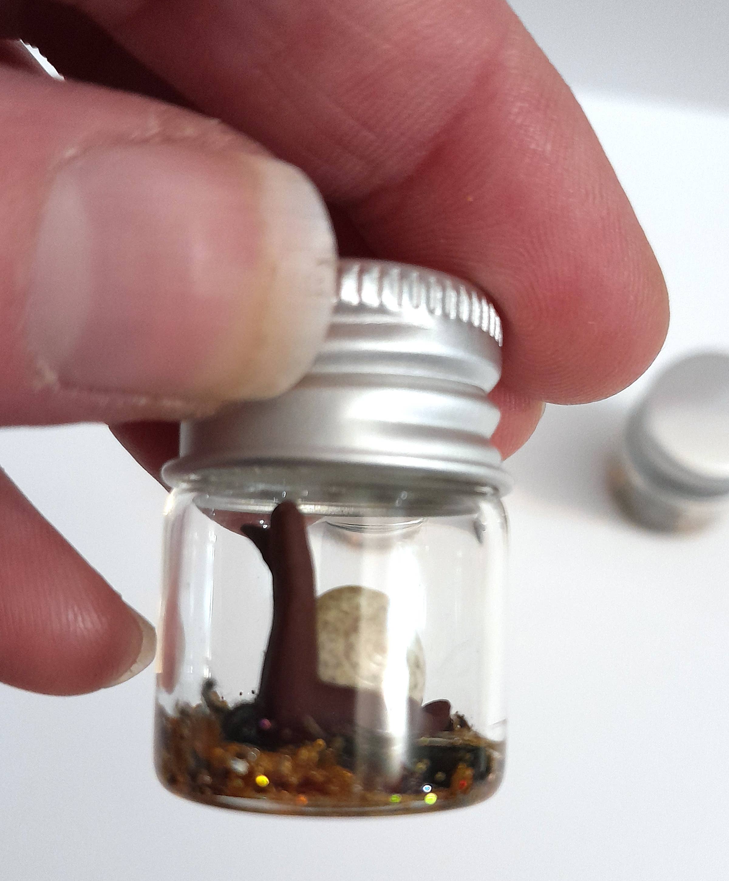 SUPERAWWWSOME - Wholesale Gag Gift/Novelty Gift - Snail Specimen Bottle, Dollhouse Miniature, nature gift jar6