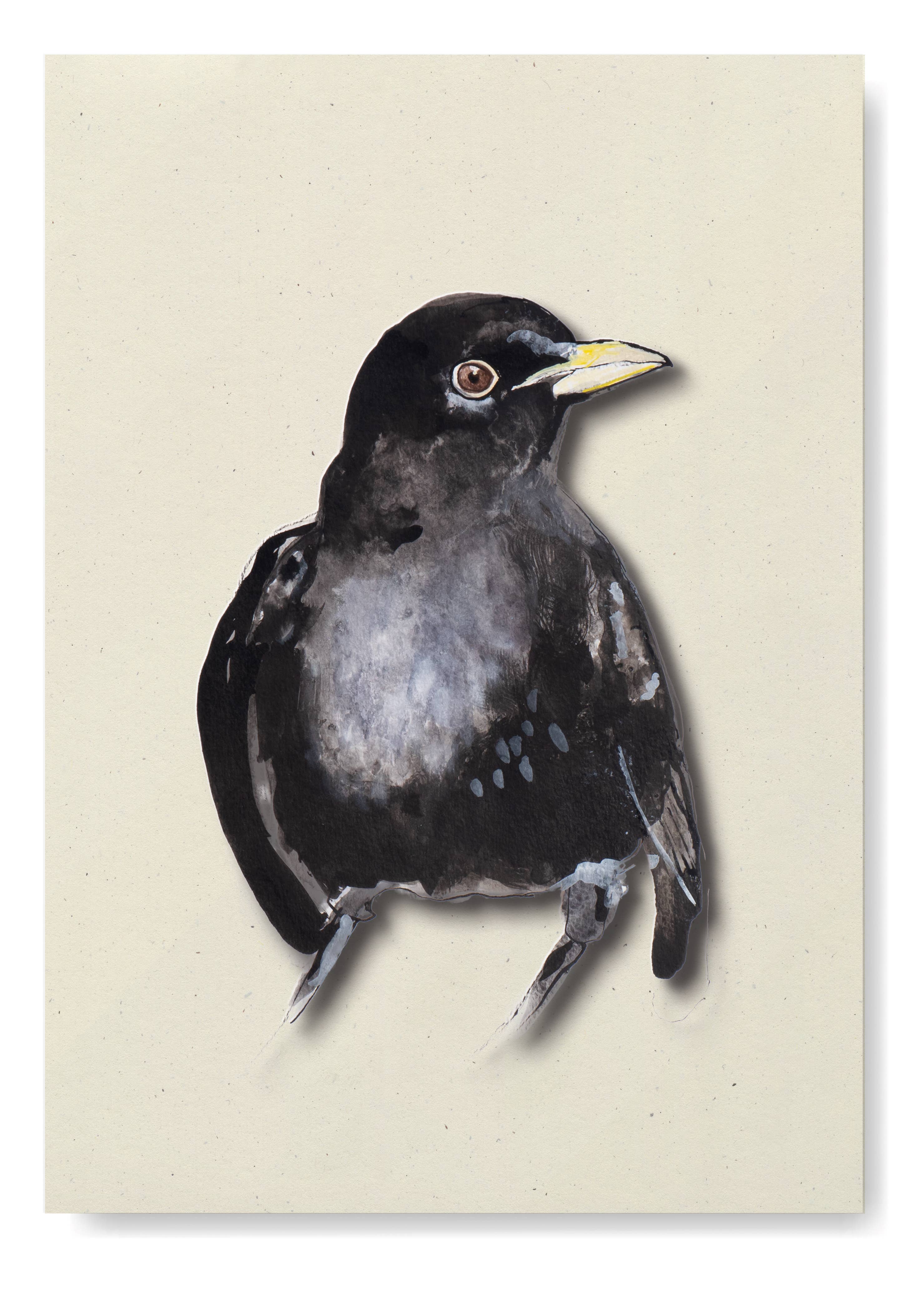 Studio Angelart - Wholesale Stationery/Notecard Set - Bird Greeting Cards Set - 12 pieces4