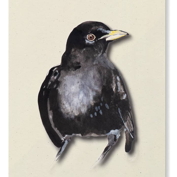 Studio Angelart - Wholesale Stationery/Notecard Set - Bird Greeting Cards Set - 12 pieces4