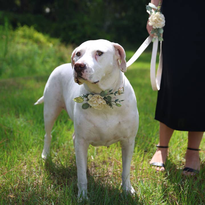 Indy Supply Co - Venta al por mayor Bandana - Perros - Collar de boda con decoración floral para perros | Ring Bearer Dog