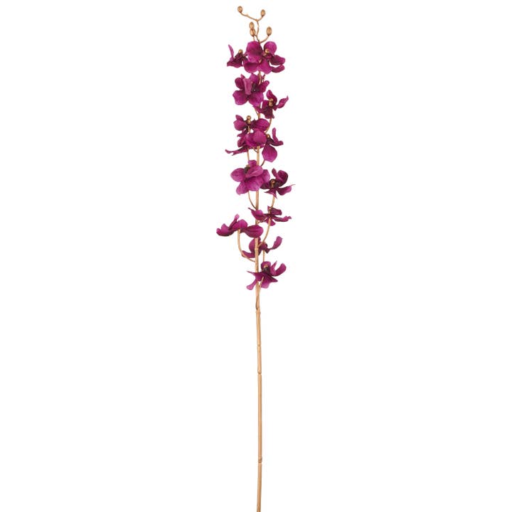 Orchidee, 87cm, lila für den Großhandel von GASPER GmbH