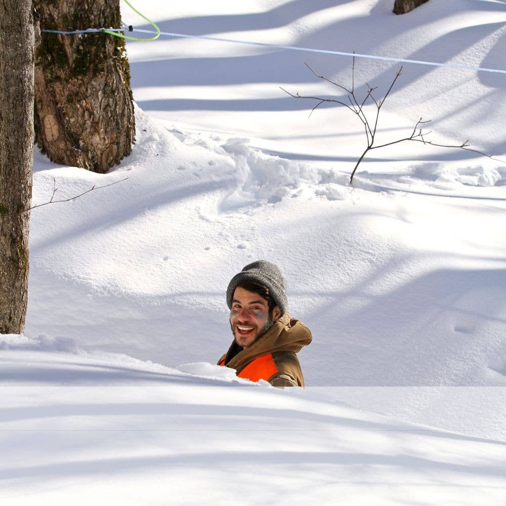 Runamok - Venta al por mayor Sirope de arce - *LANZAMIENTO LIMITADO Snow Globe Sparkle Syrup®4