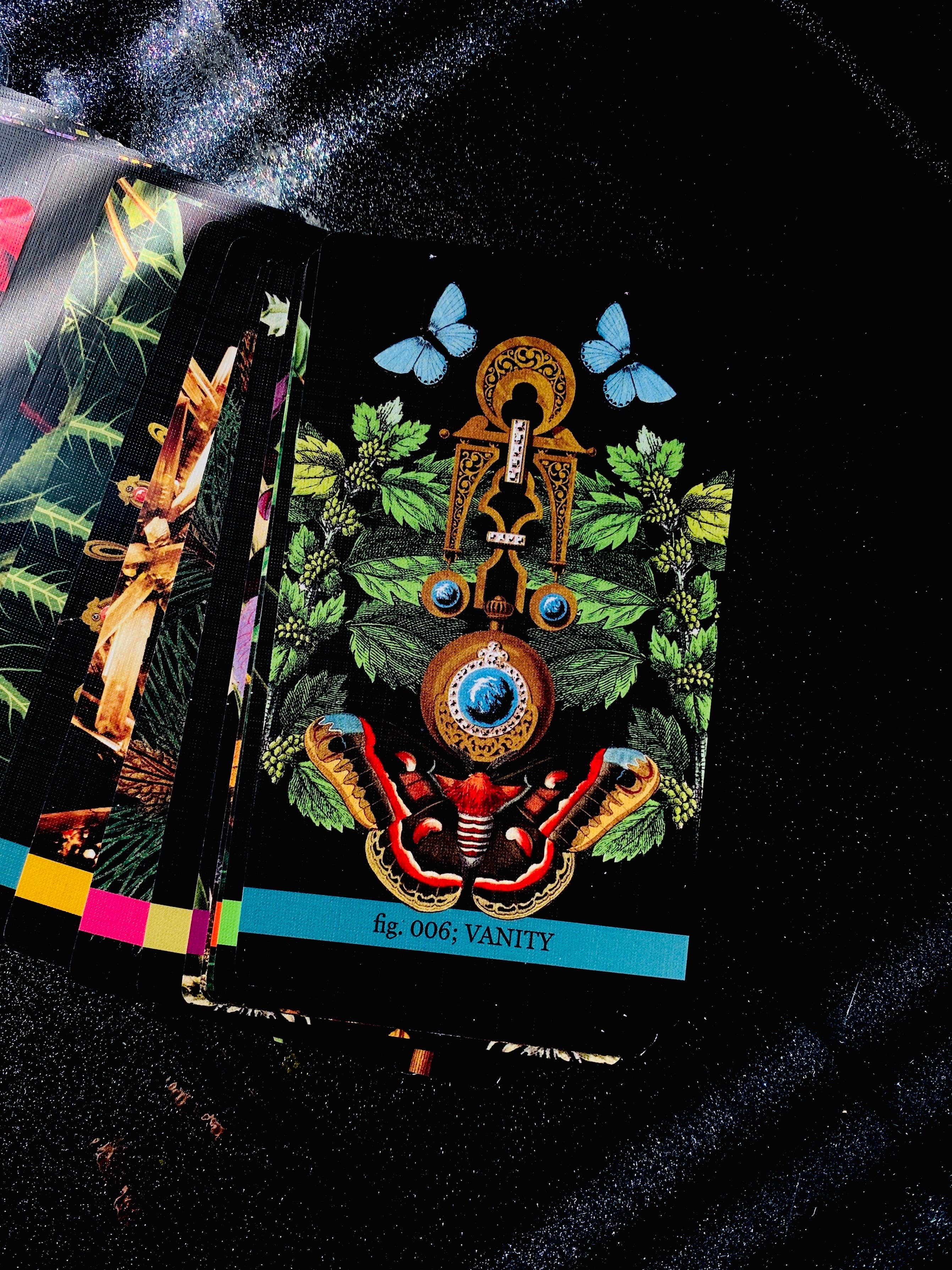 Cosmic Butcher - Wholesale Tarot Cards - "Eternal Gardens" Oracle & Lenormand Deck | Botanical Tarot15
