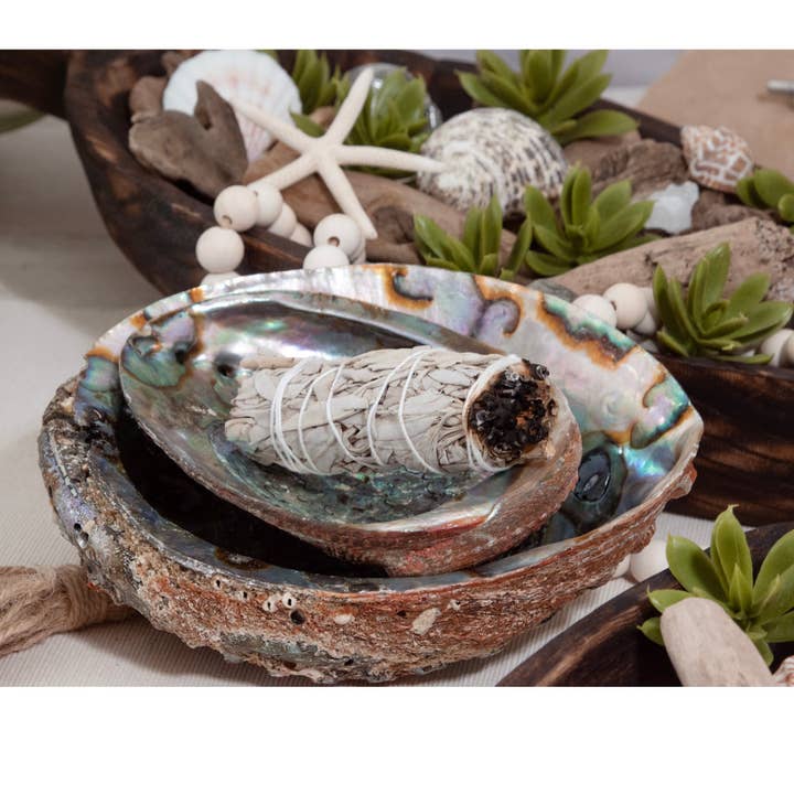 My American Goods - Vendita all'ingrosso Piatti per smudge - Conchiglia di Abalone di Andaluca Home