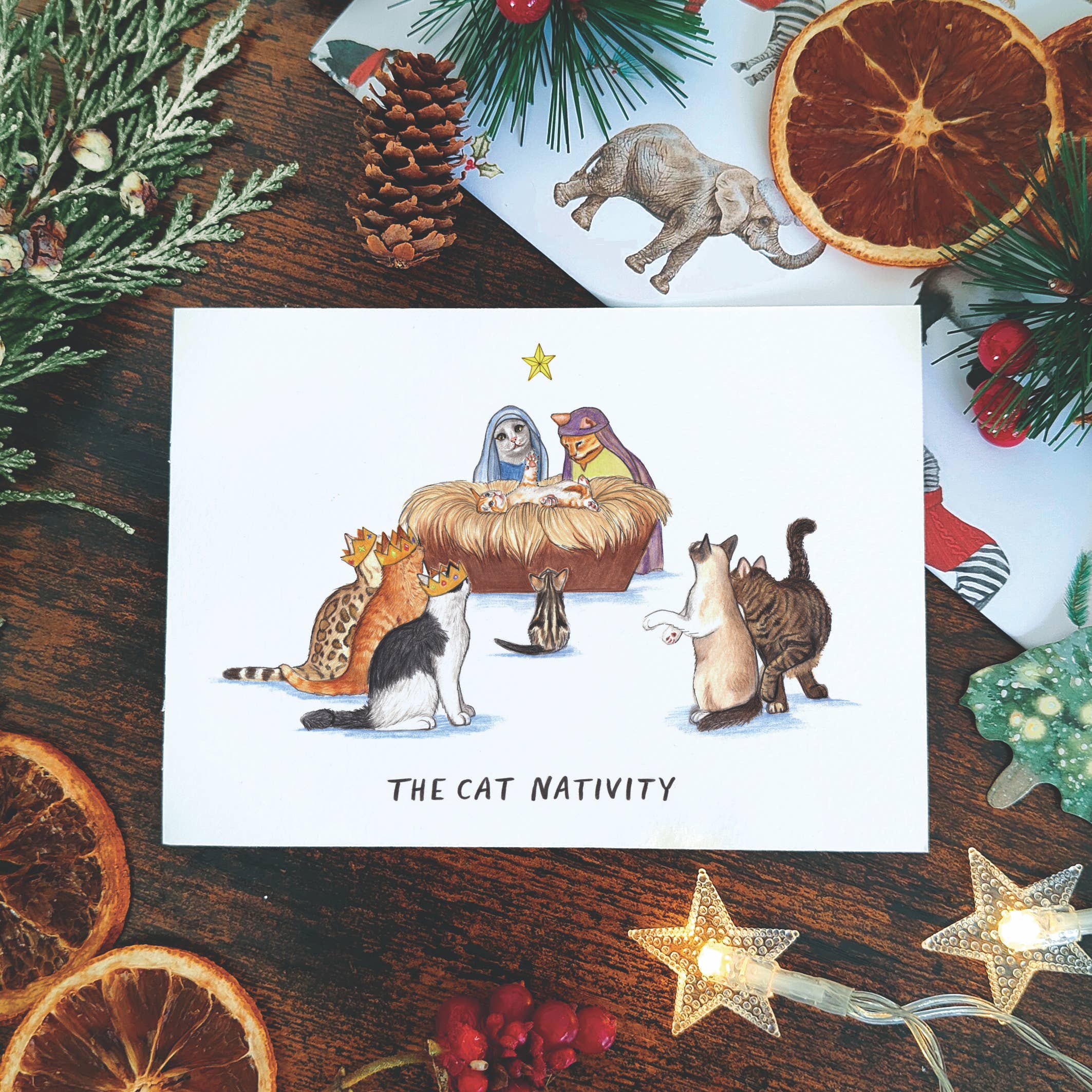 Beth Goodwin Designs - Wholesale Christmas Card - Cat Nativity Christmas Card - Cat Xmas Card