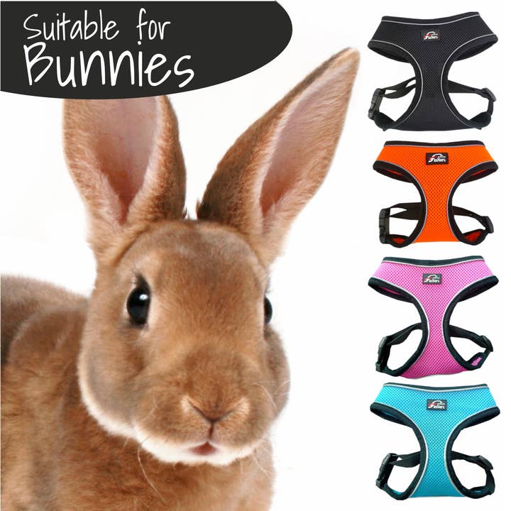 FINNERO - Wholesale Pet Harness - Dog - FINNERO LIGHT Reflective Harness For Pets, 4 Colors17