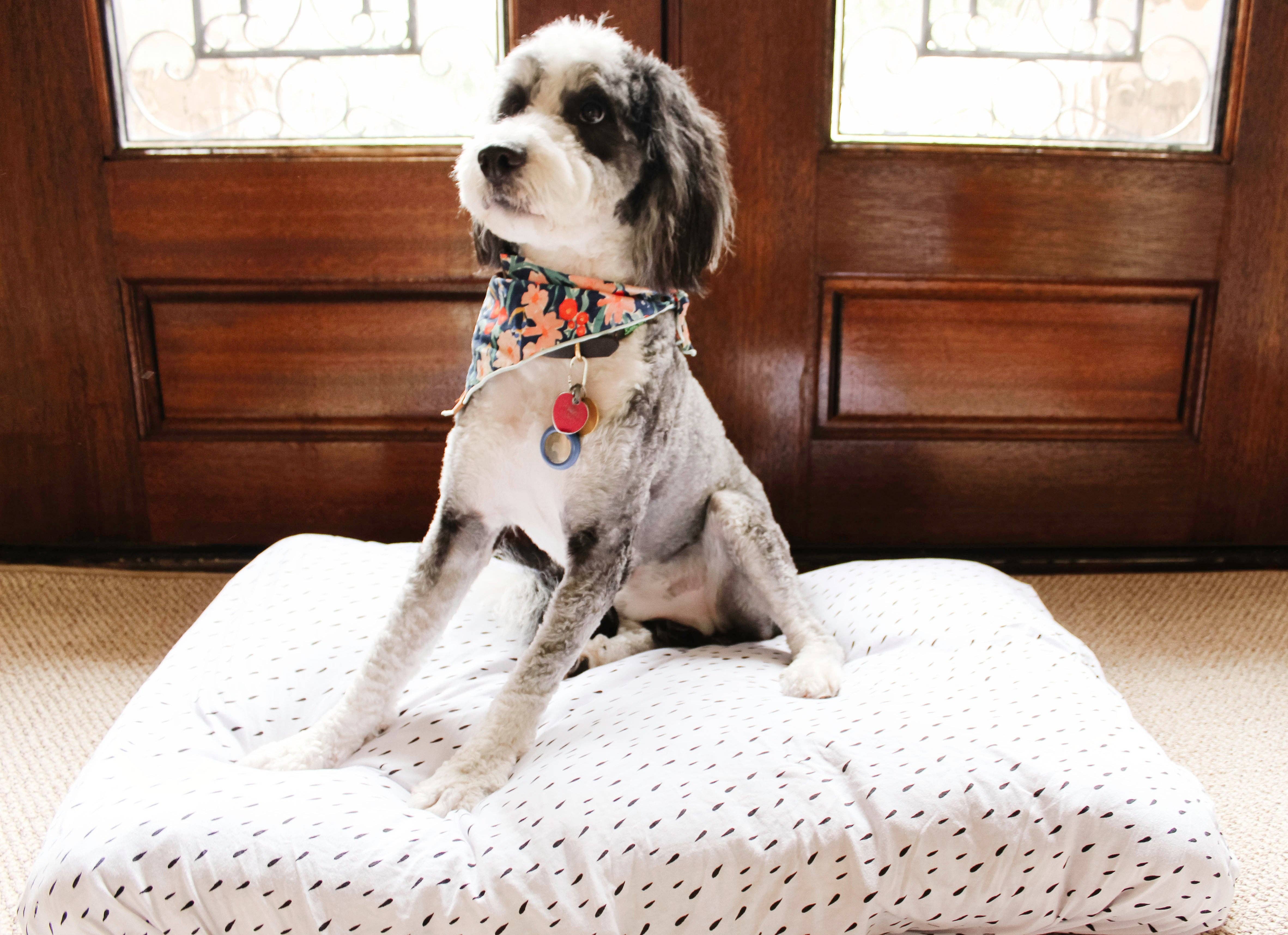 NODNAL Co. – wholesale Husdjursbädd – Hund – Hundbäddöverdrag - Välj ditt tryck8