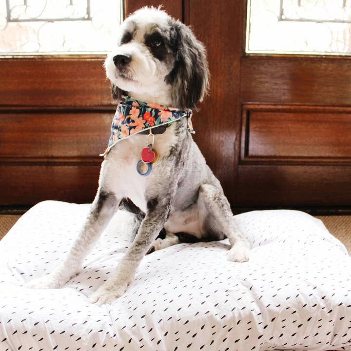 NODNAL Co. - Wholesale Pet Bed - Dog - Dog Bed Cover - Choose Your Print8