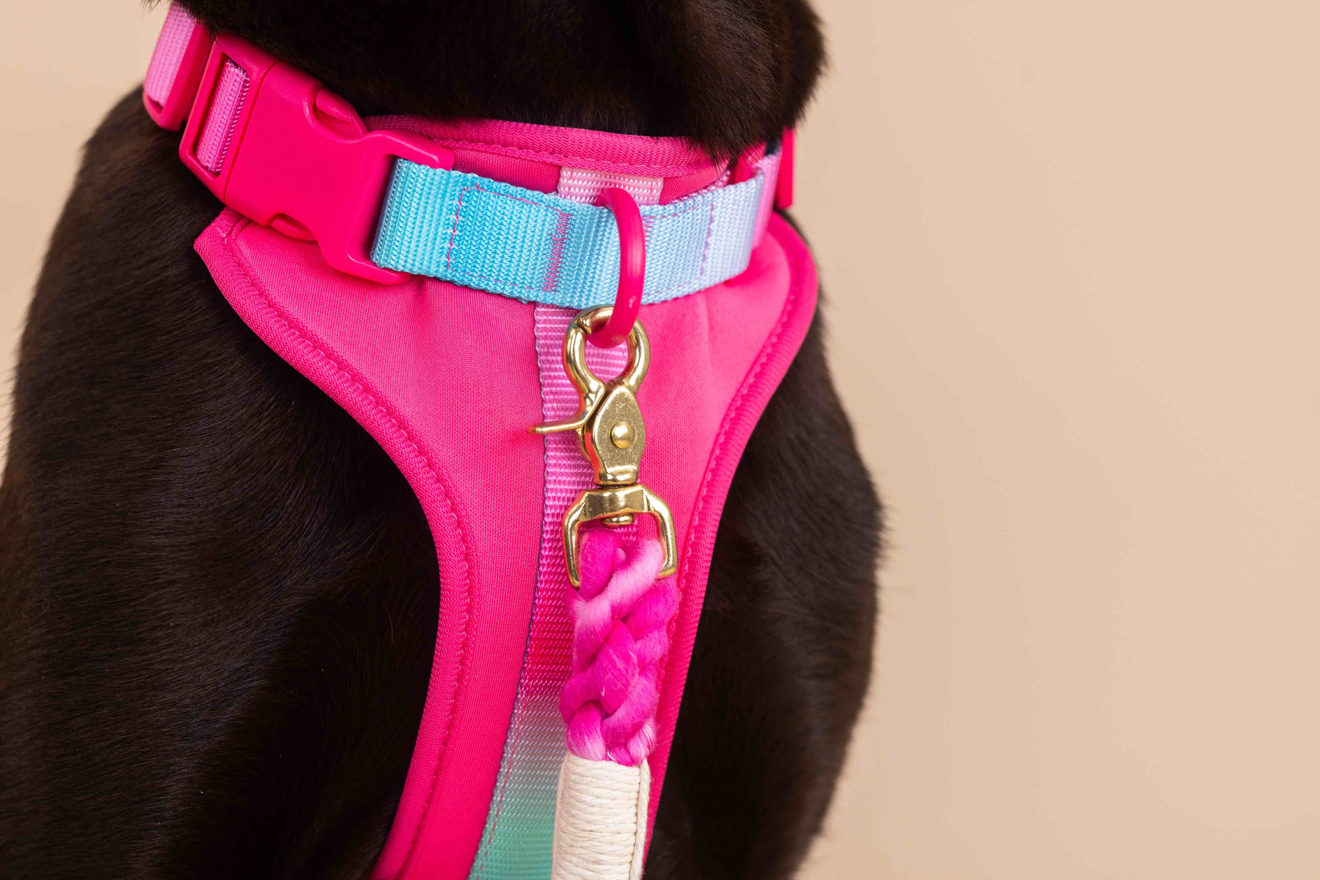 Pink Papyrus | Premium, Durable, & Stylish Dog Products - Wholesale Tuig voor huisdieren - Hond - Stasia hondenharnas | No pull hondenharnas in roze15
