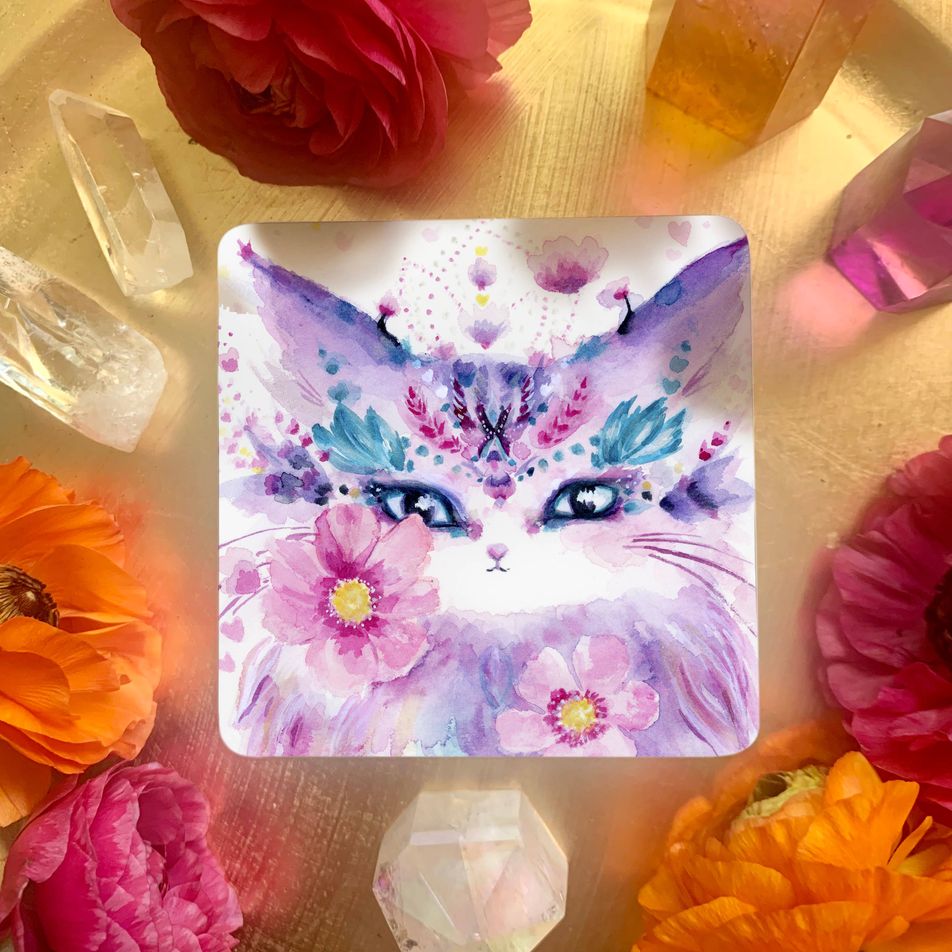 Nicole Piar - Vendita all'ingrosso Tarocchi - Mazzo di Carte Oracolo Witch Cats20