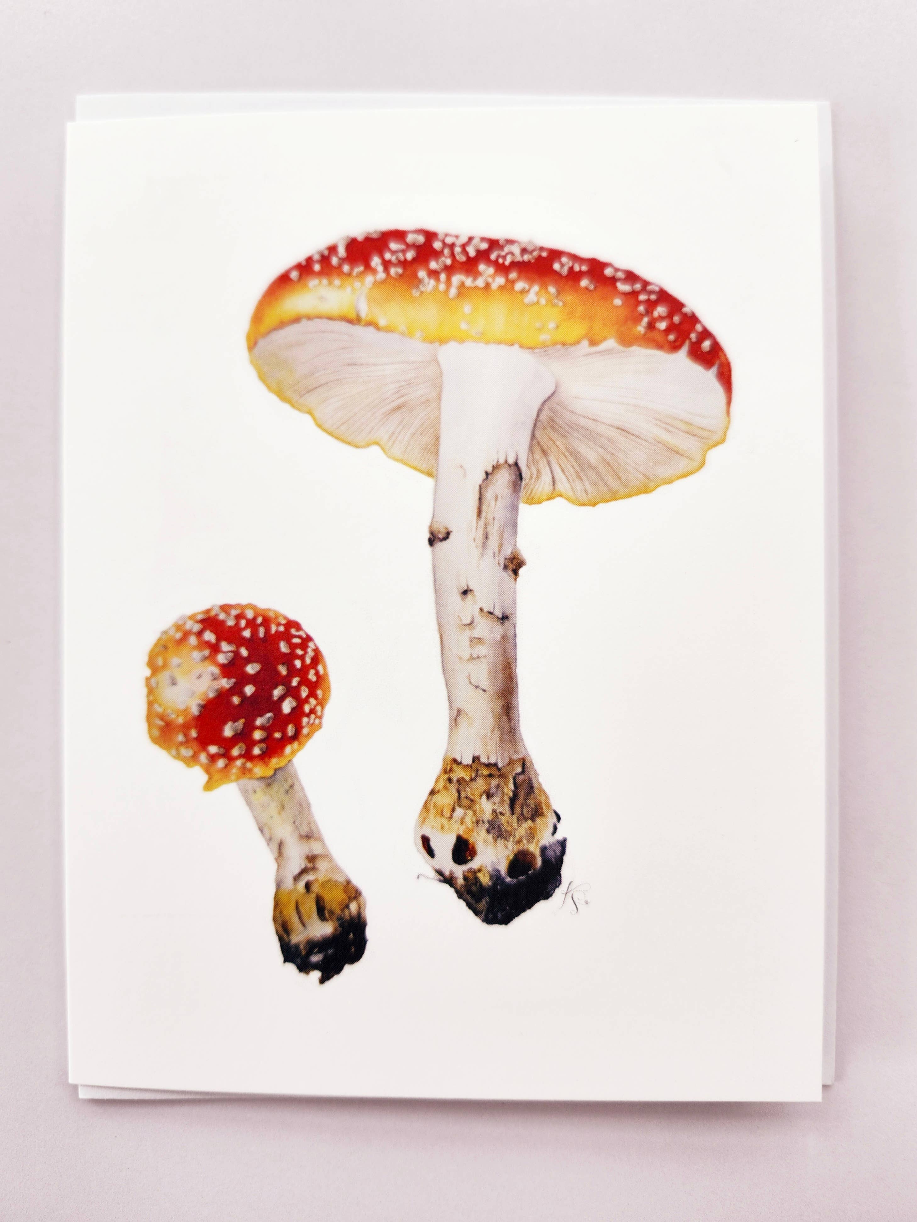 Redbriar Studio - Wholesale Stationery/Notecard Set - Notecards21