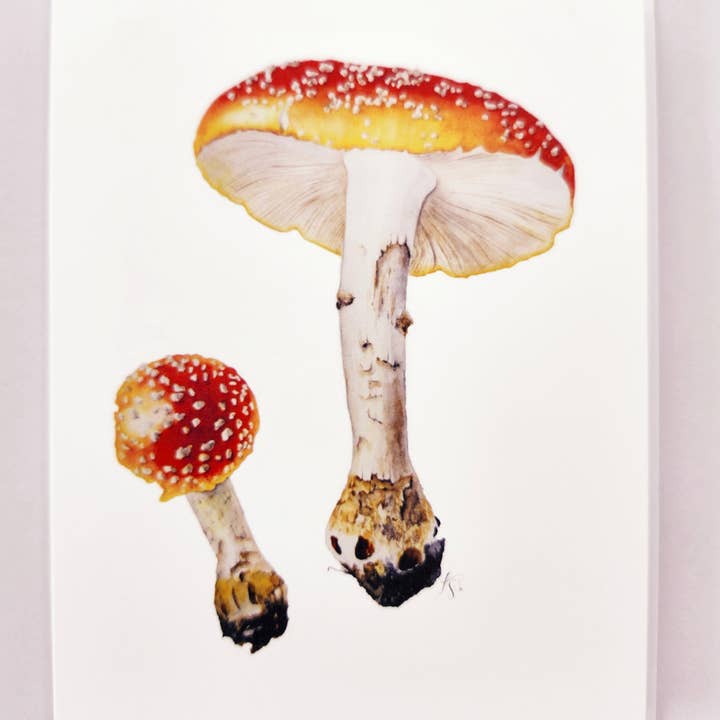 Redbriar Studio - Wholesale Stationery/Notecard Set - Notecards21