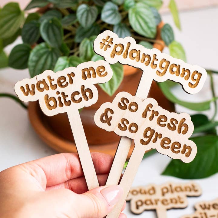 The Print Pantry - Wholesale Garden/Lawn Stake - Retro Funny Wooden Plant Markers