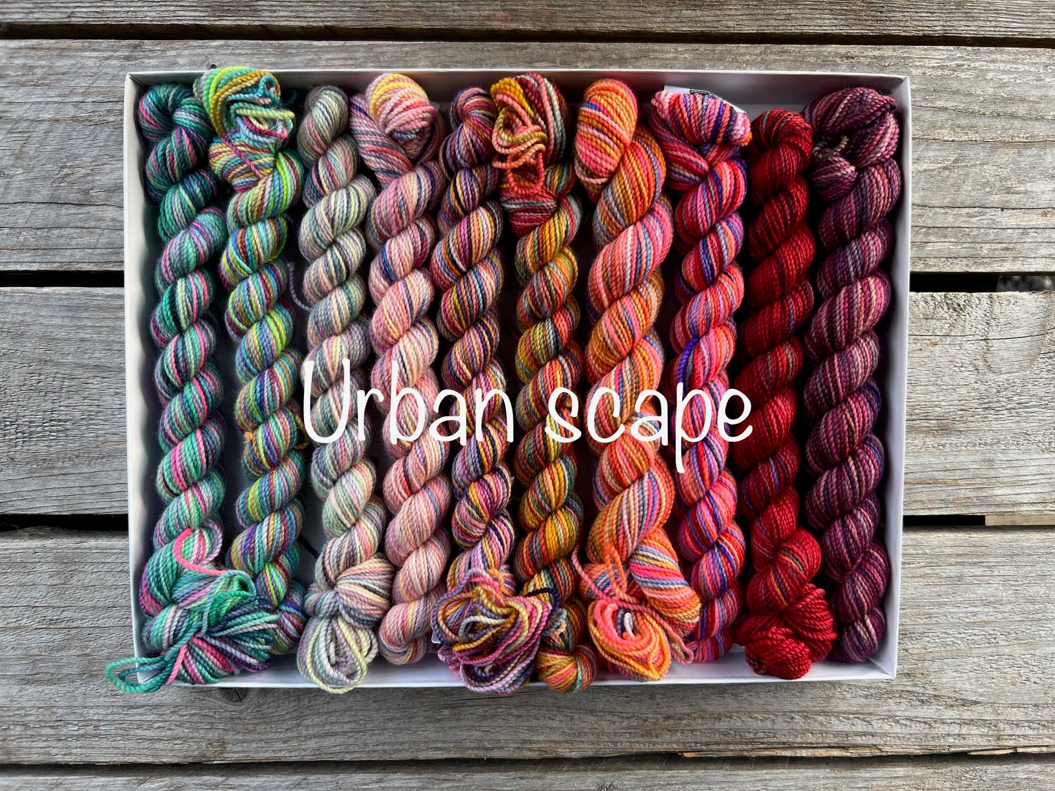 Koigu Wool Designs - Vente Fils à tricoter - Coffret de laine Koigu Pencil Box groupe 159