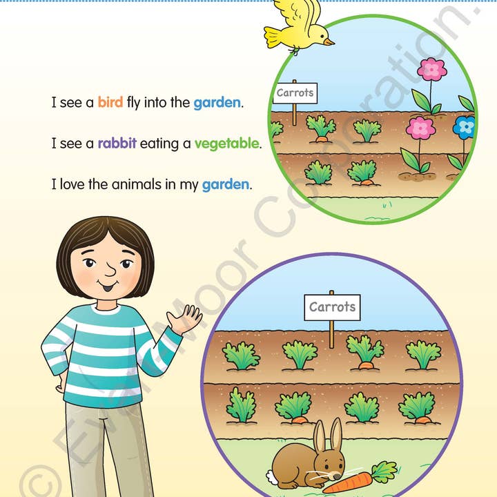 Evan-Moor Educational Publishers - Vendita all'ingrosso Libro per l'infanzia (3-5) - Il mio grande libro di parole, cartella di lavoro di grado 26