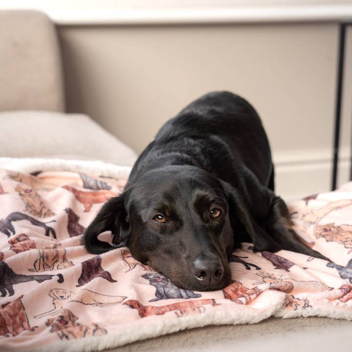 The Paw Print Boutique - Wholesale Pet blanket – Dog - The Labrador / Retriever Dog Blanket6