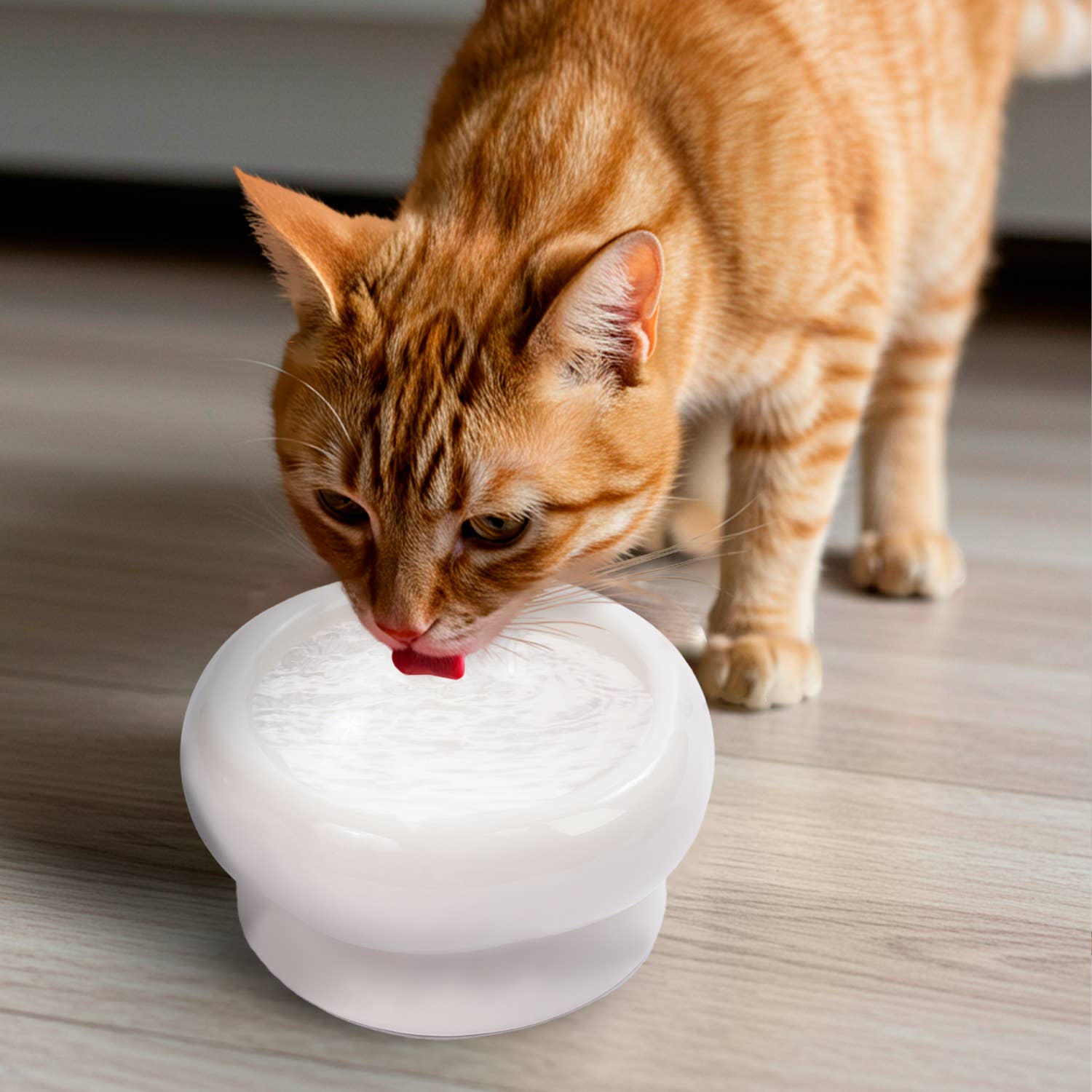 Precious Tails - Wholesale Pet Bowl - Cat/Dog - Abstract bubble Shaped Stoneware Elevated Pet Bowl4