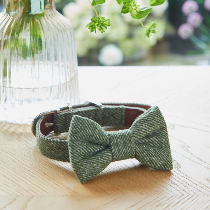 Sweet William Designs - Vente Nœud papillon – chien - Nœud papillon en tweed vert pour chien