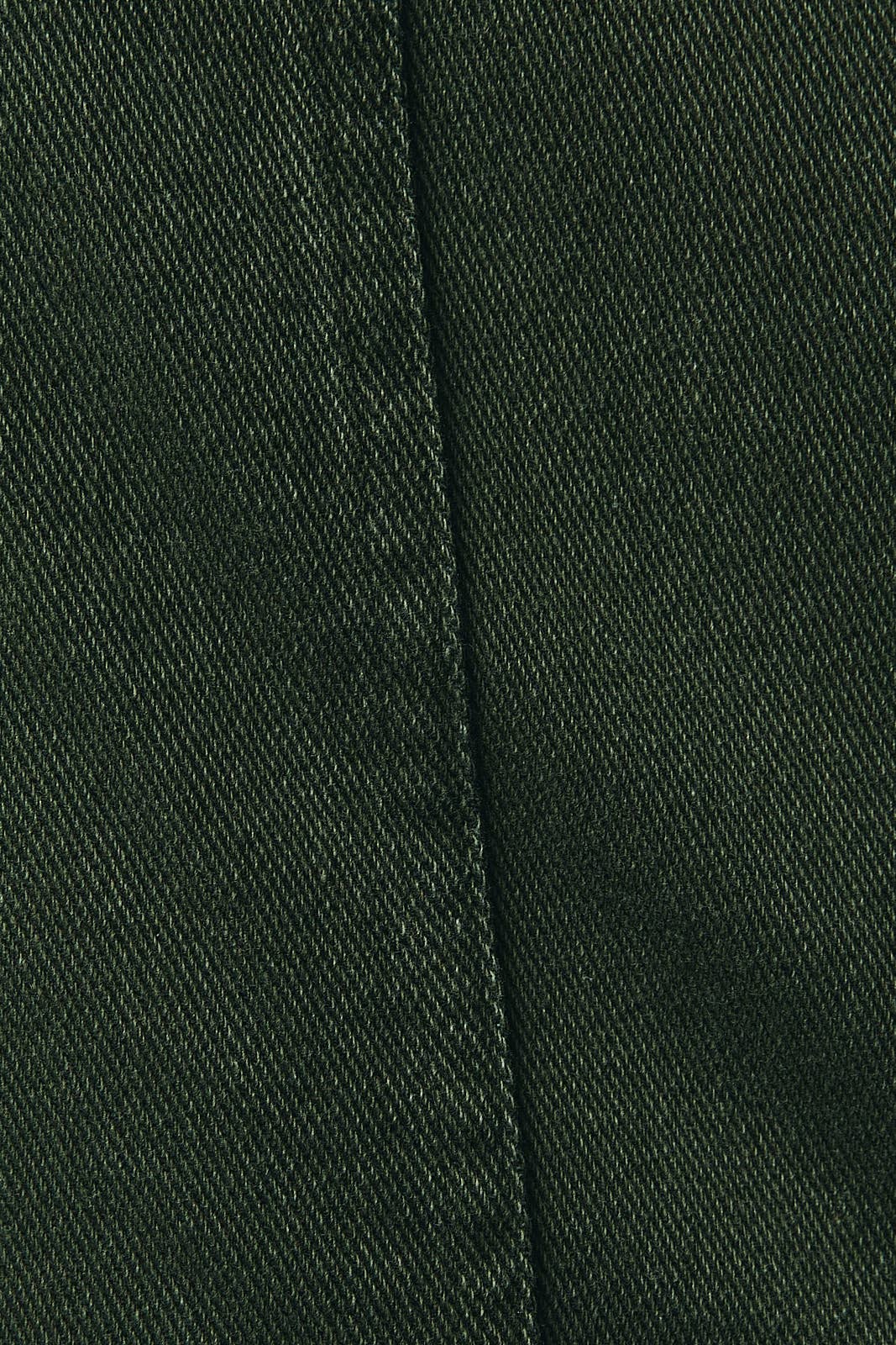 OLIVE RIVET DETAILED TWILL PANTS for wholesale on Faire5