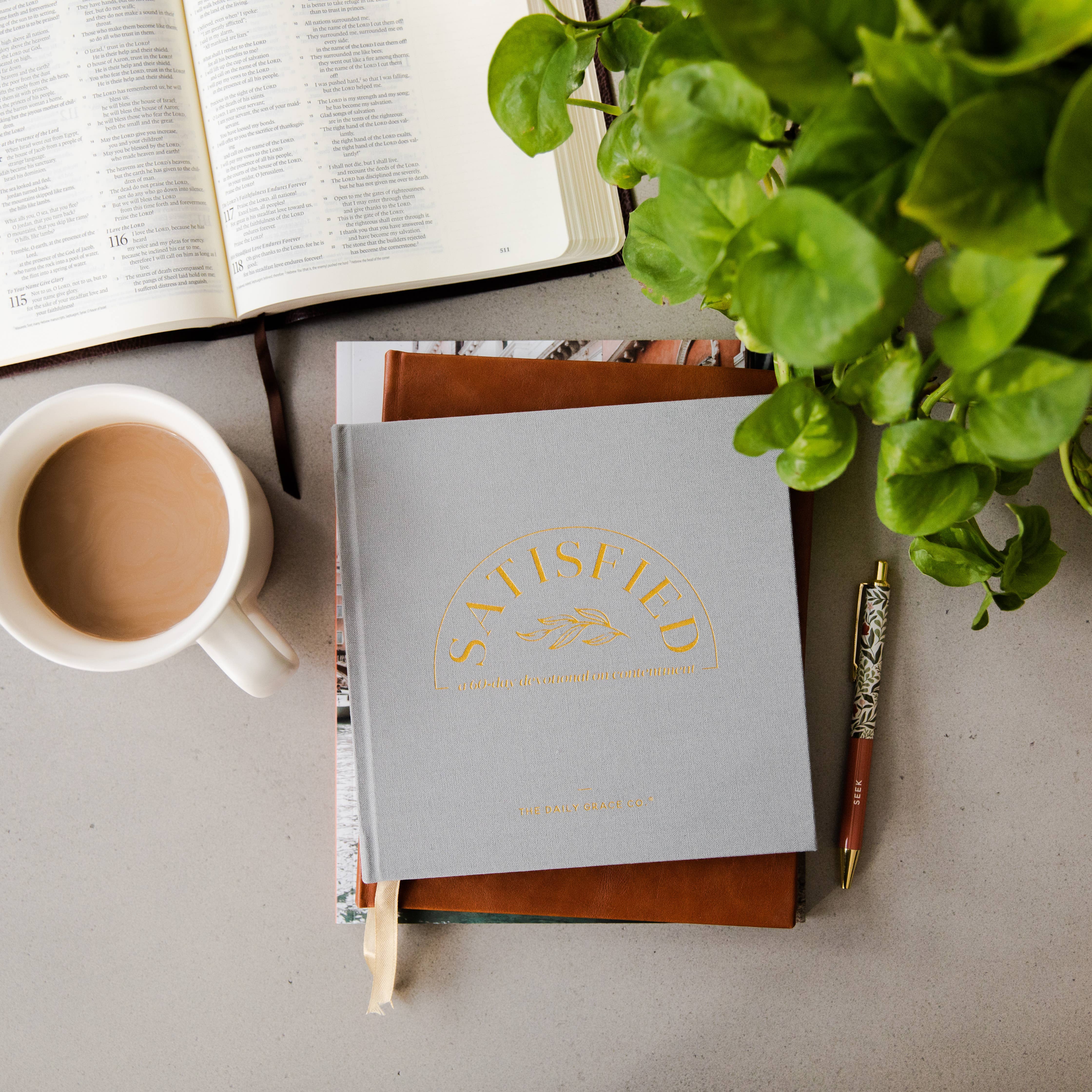 The Daily Grace Co - Wholesale Religion - Satisfied | A 60-Day Devotional2