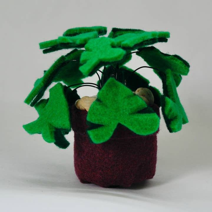 Lola (Tiny Monstera) for wholesale by ARTBYSNOOPS