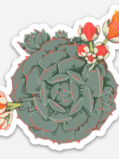 Echeveria Sticker for wholesale by Golden Grove Paper
