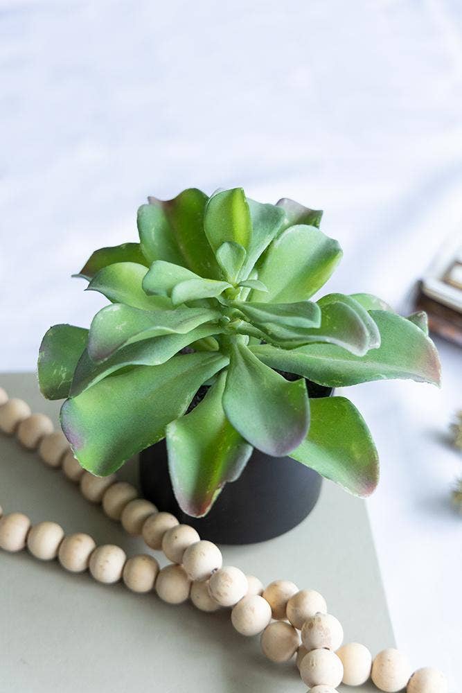 A&B Home Group Inc. – wholesale Artificial plant – Potted Succulent9